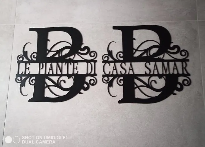 Le Piante Di Casa Samar