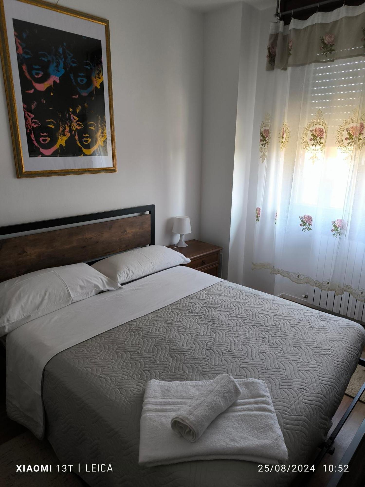 Le Piante Di Casa Samar