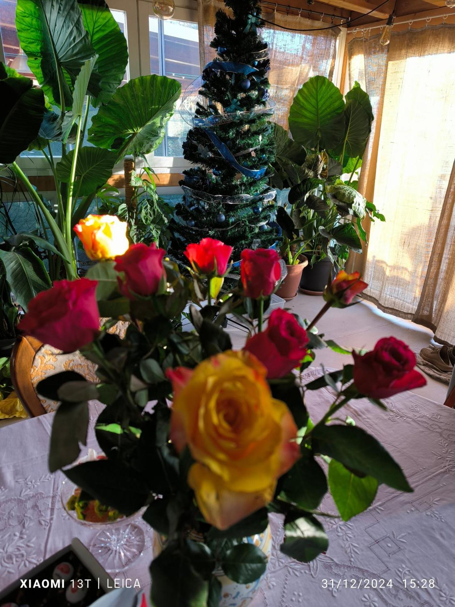 Le Piante Di Casa Samar Bed & Breakfast Castelguelfo