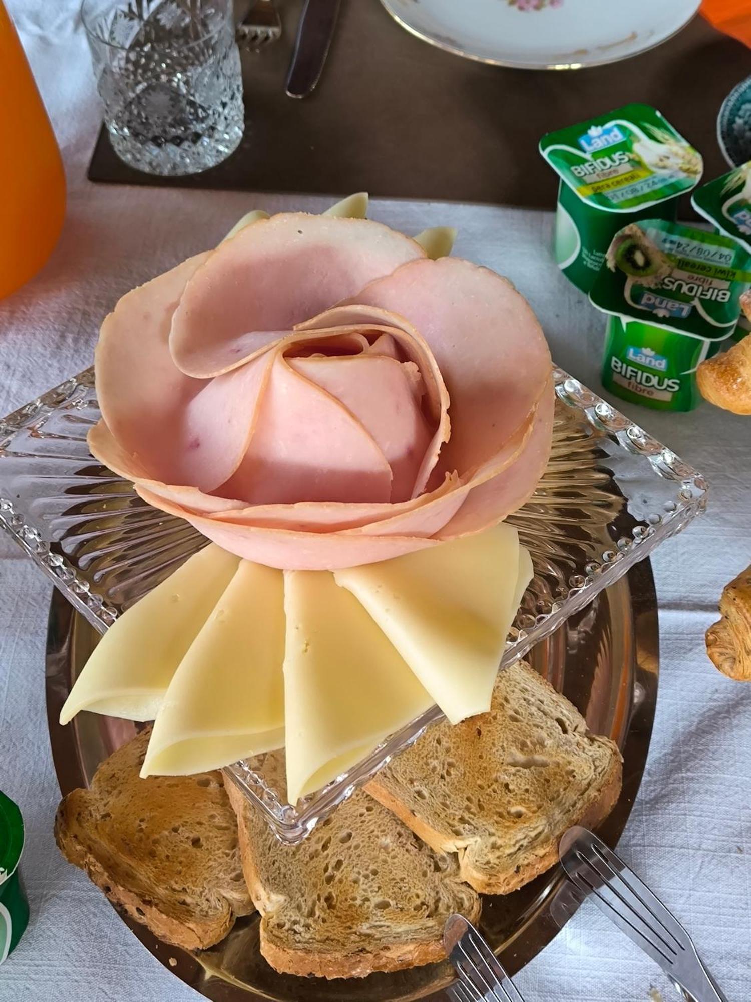 Le Piante Di Casa Samar